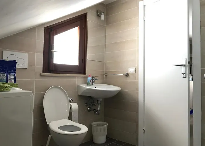 Orfeo * 미사노아드리아티코